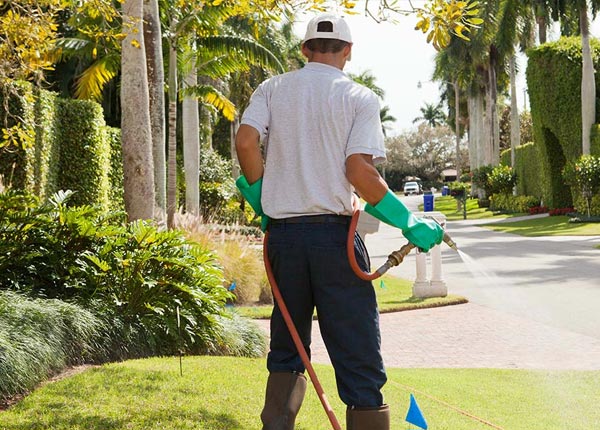 About Burgettstown PA Pest Control Pros